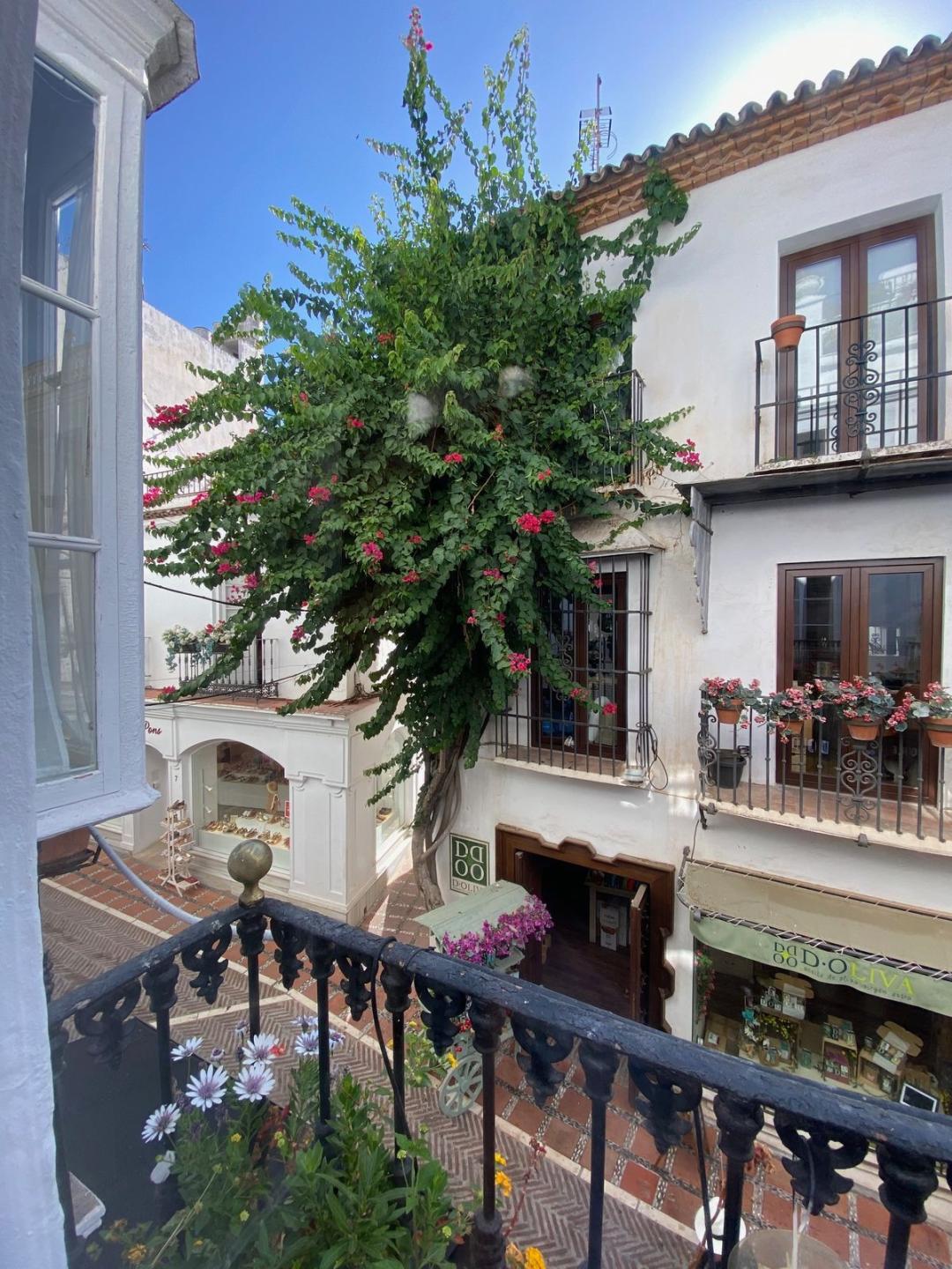 Apartment Penthouse in Marbella