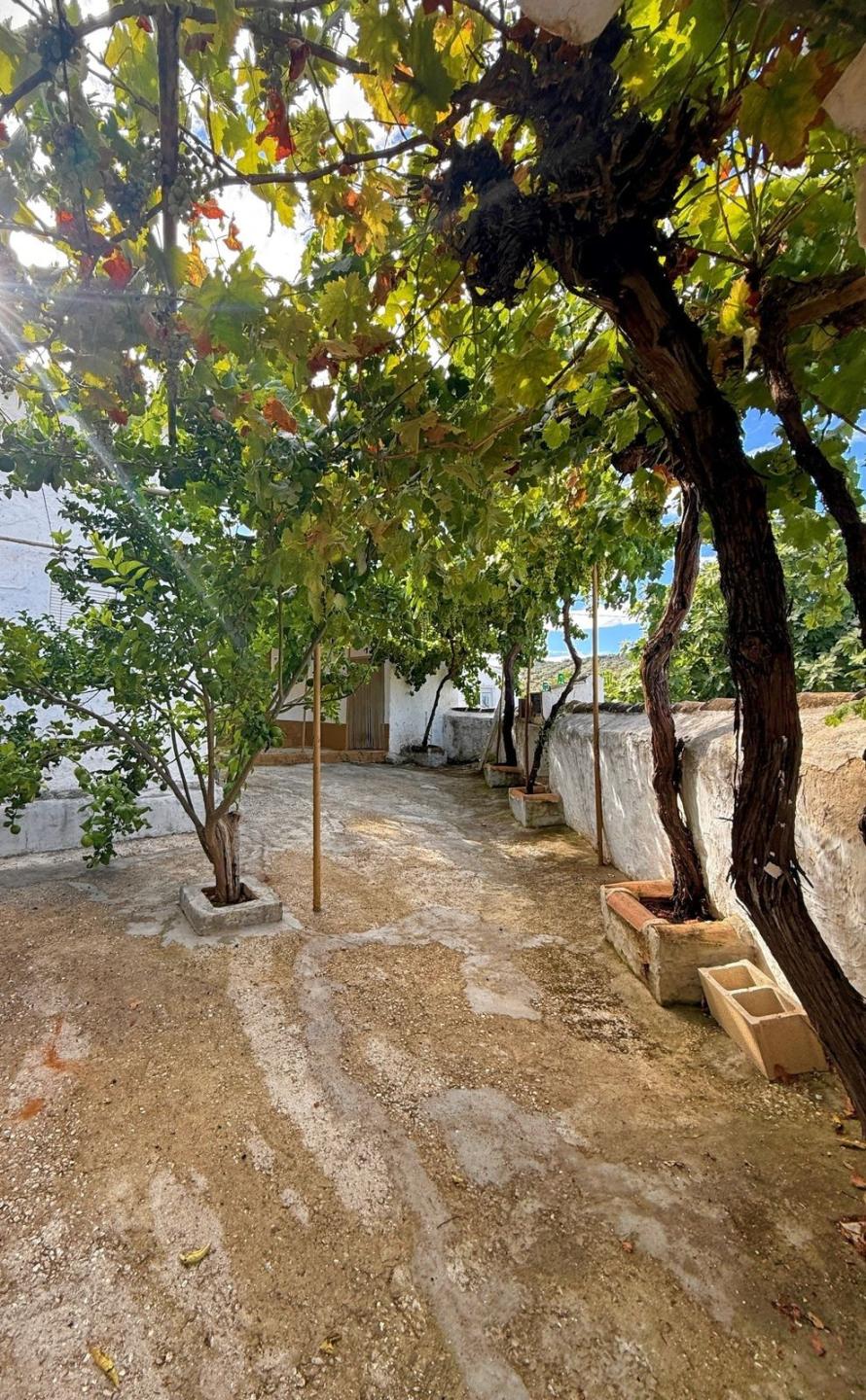 Villa Finca in Villanueva de Algaidas