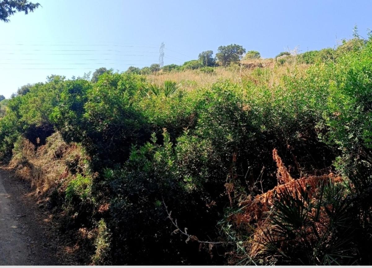 Plot Land in Estepona