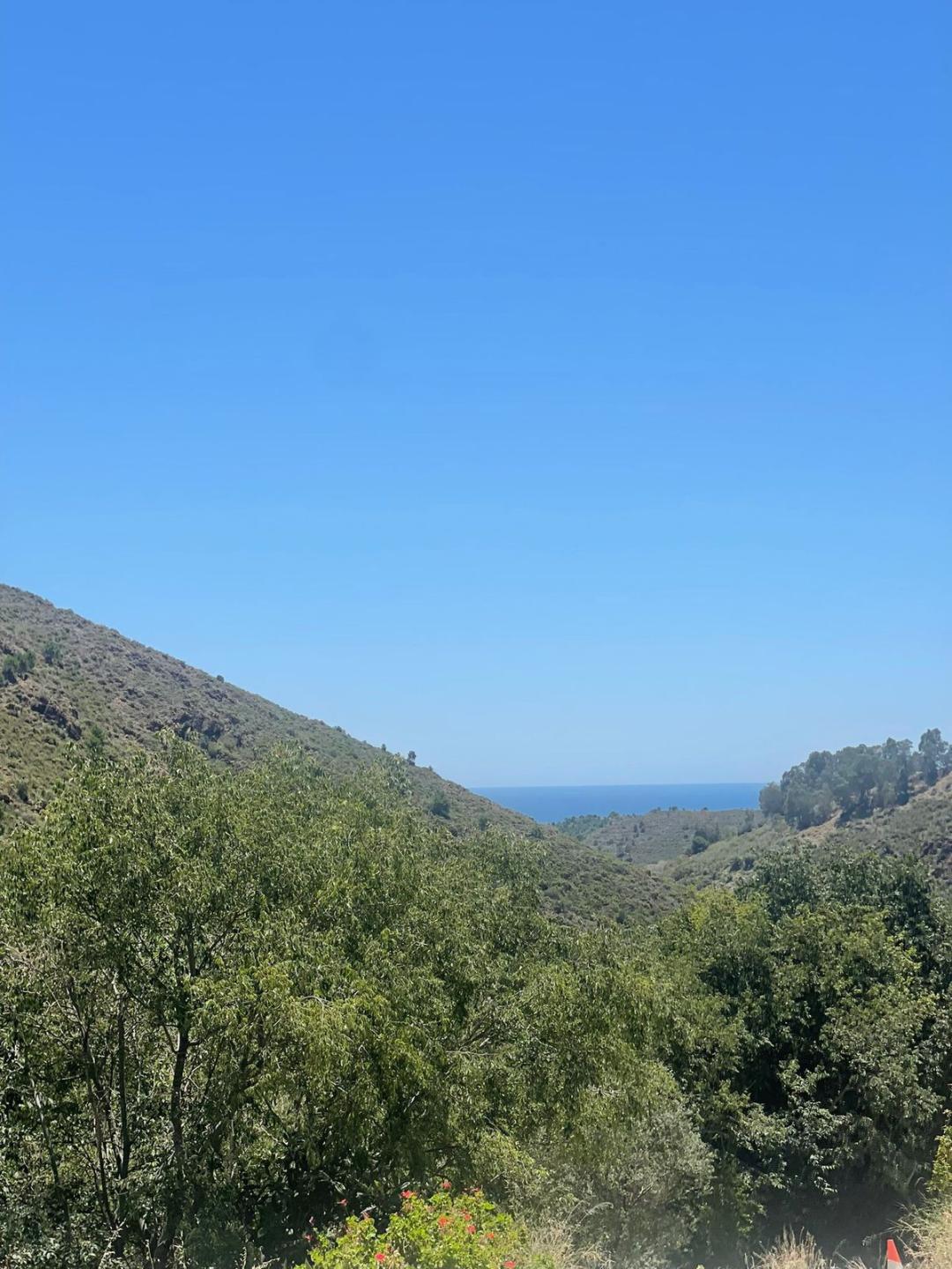 Plot Land in Ojén