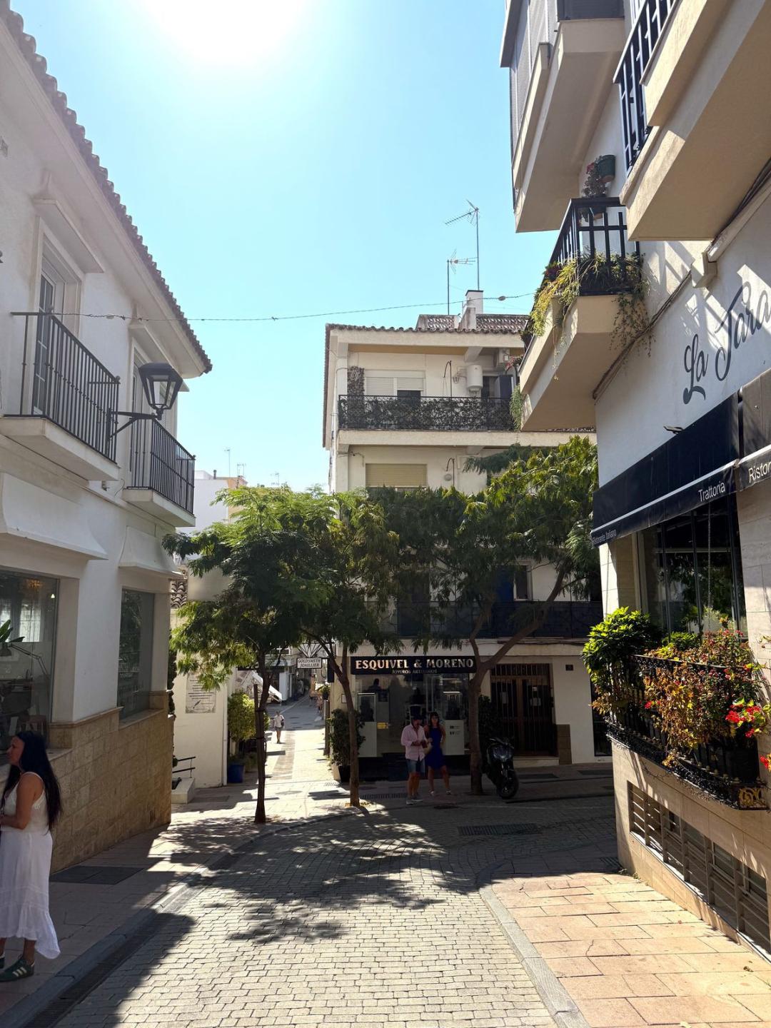 Apartment Penthouse in Estepona