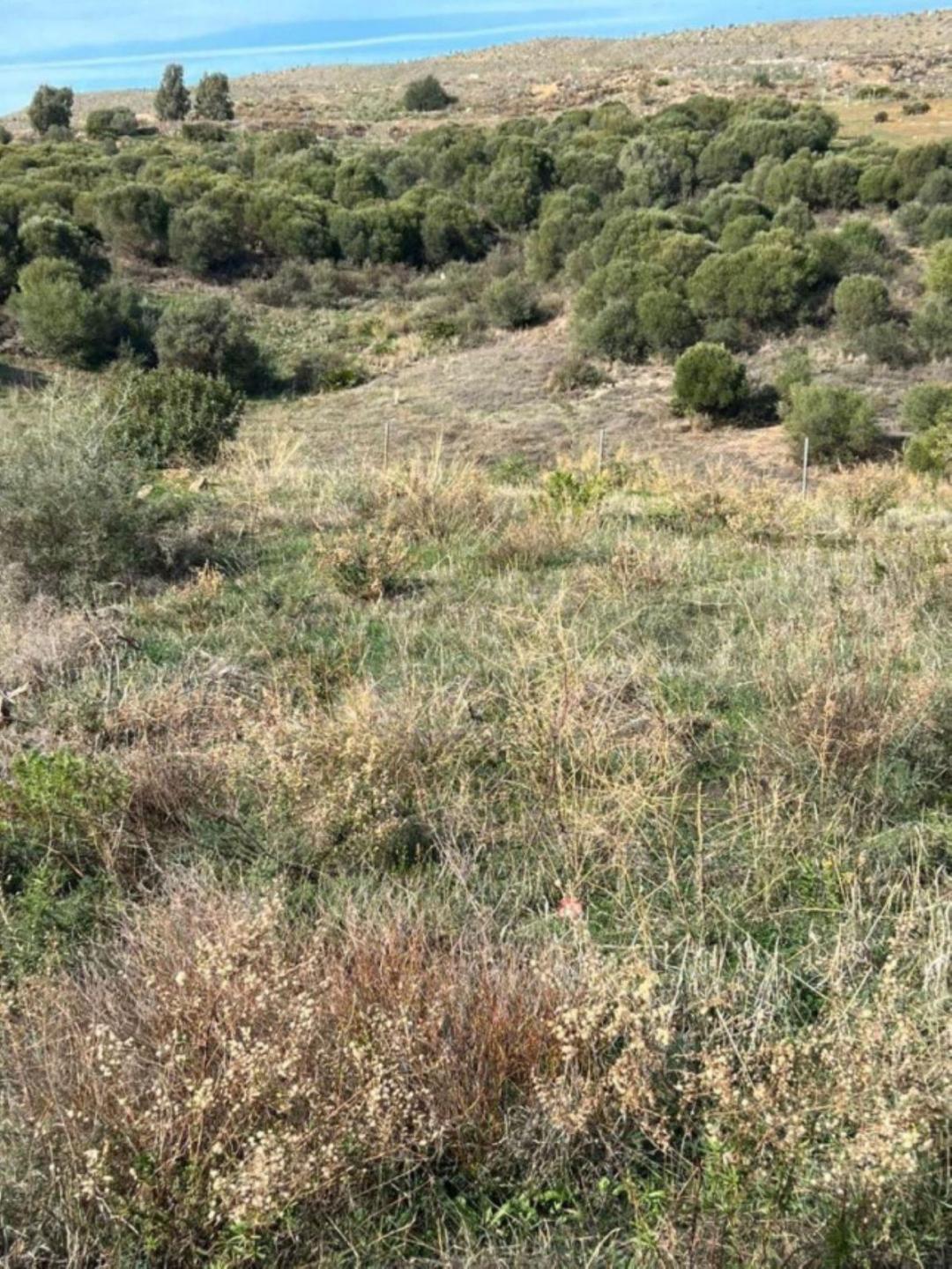Plot Residential in Casares Playa