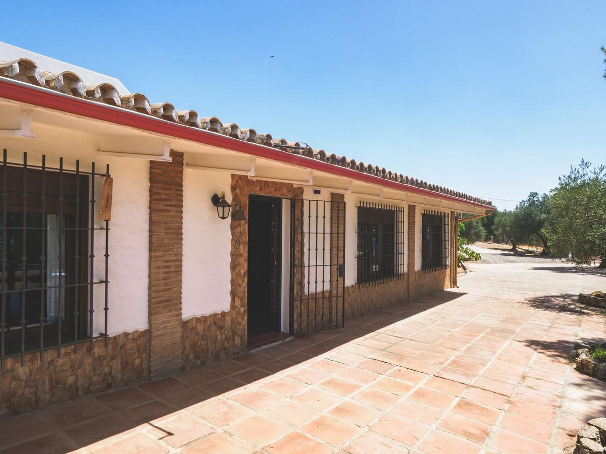Commercial in Alora