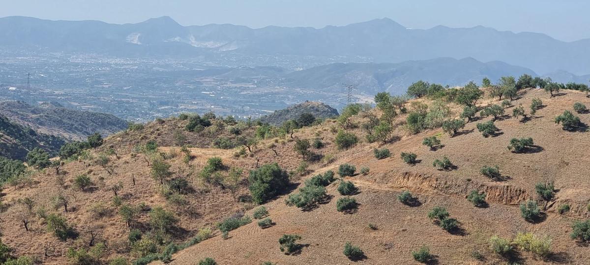 Plot Land in Estacion de Cartama