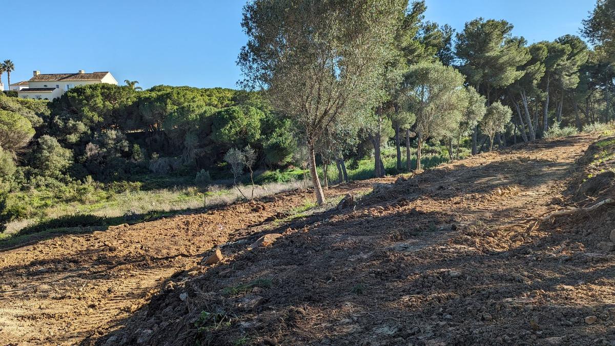 Plot Residential in Sotogrande