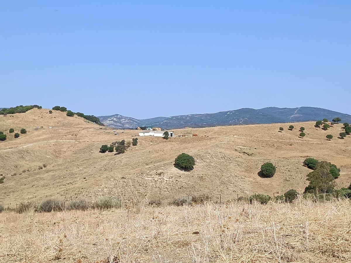 Commercial Farm in Gaucín