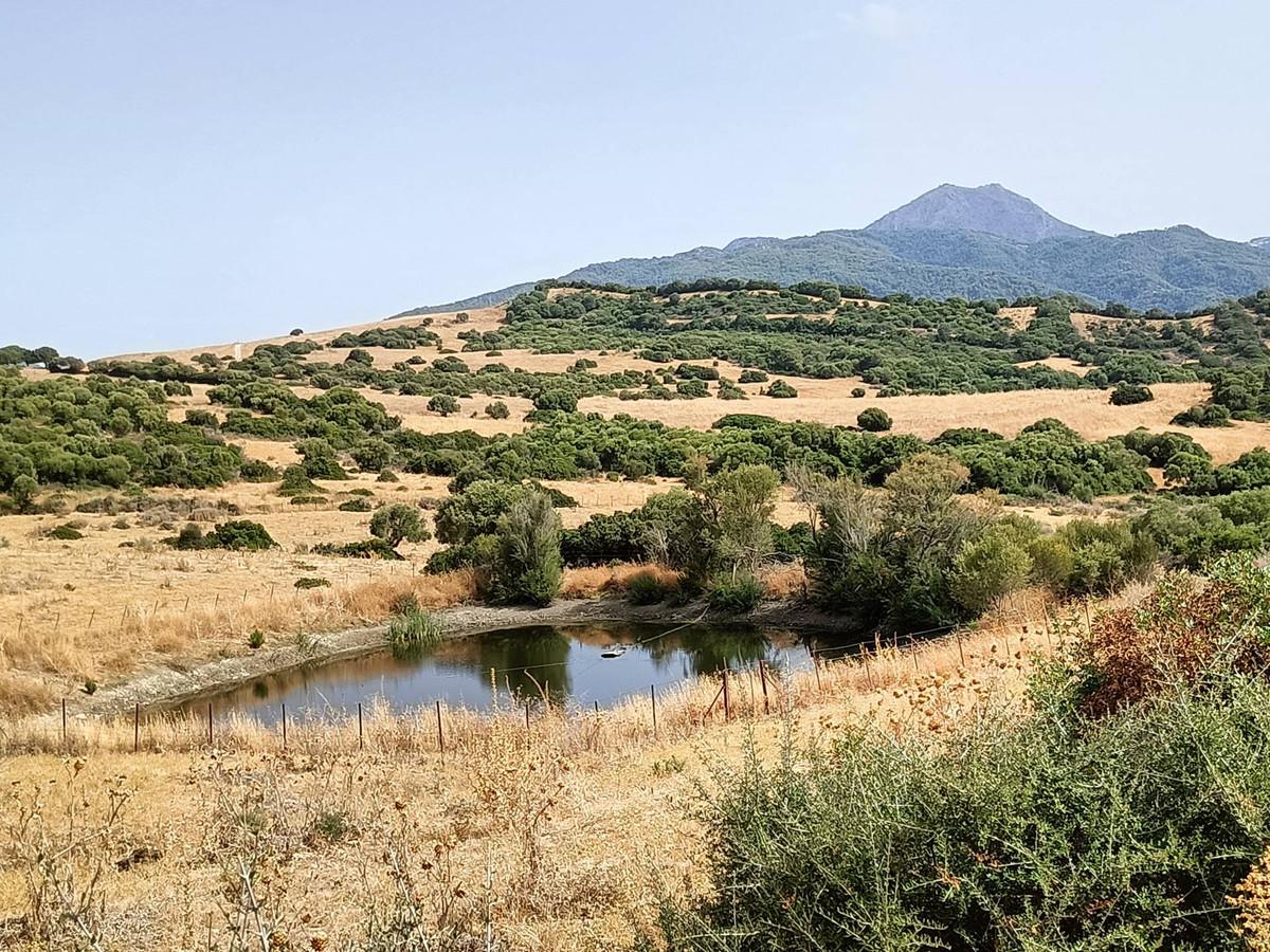 Commercial Farm in Gaucín