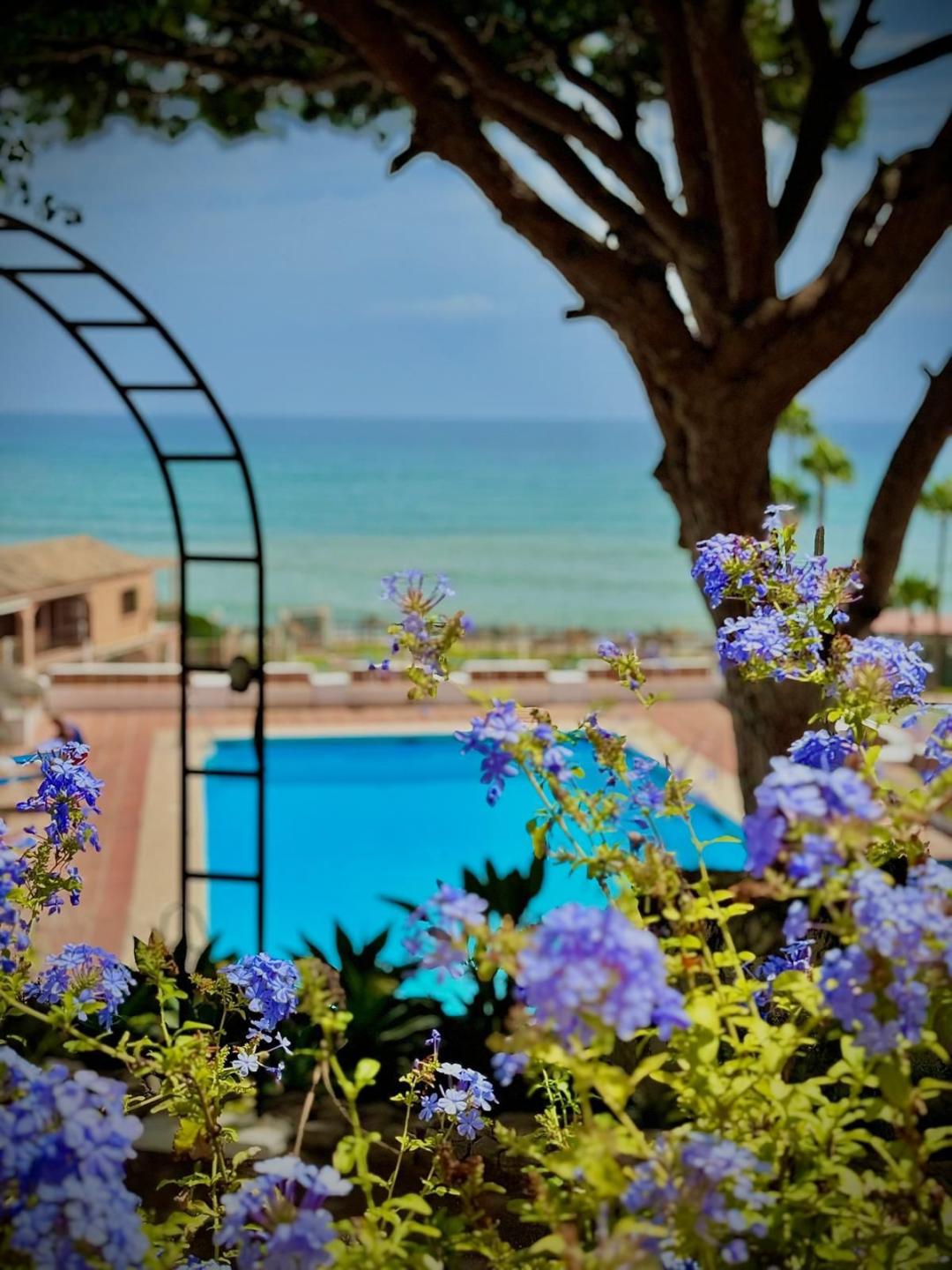 Apartment Middle Floor in Calahonda