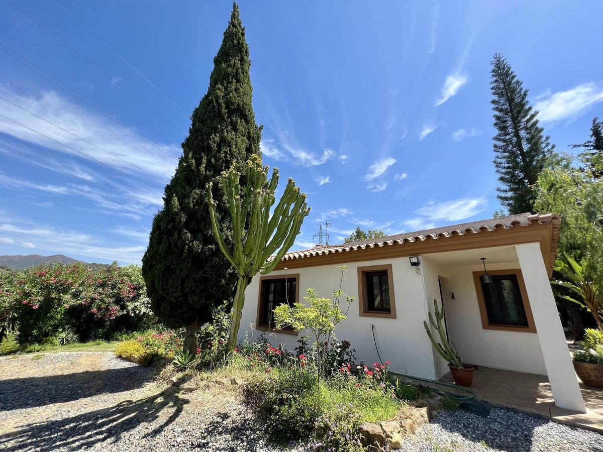 Villa Detached in Estepona