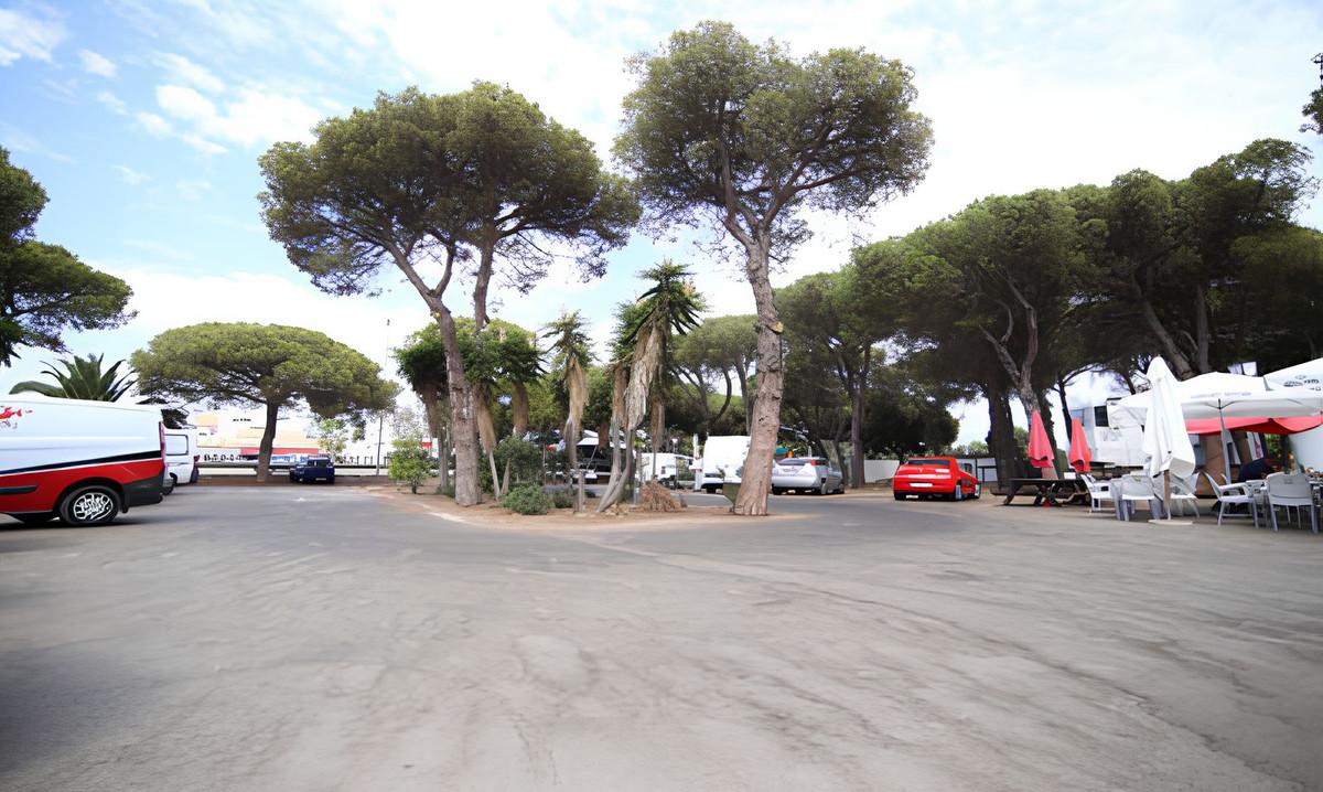 Commercial Commercial Premises in Benamara