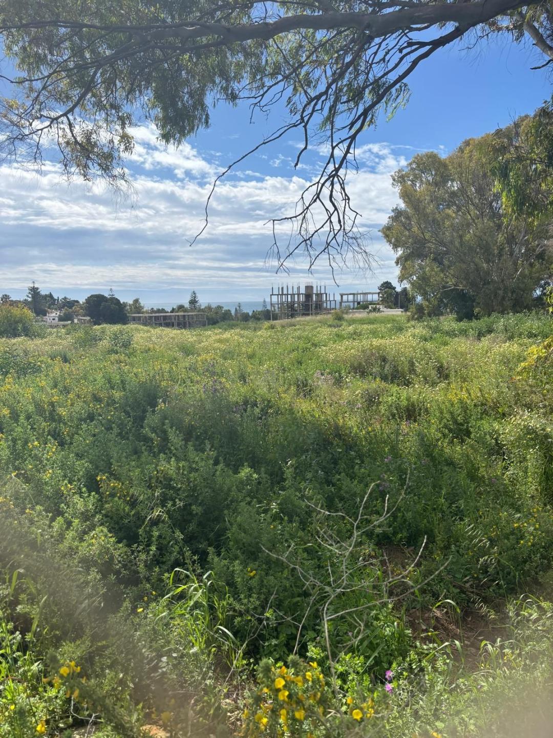 Plot Residential in Cancelada