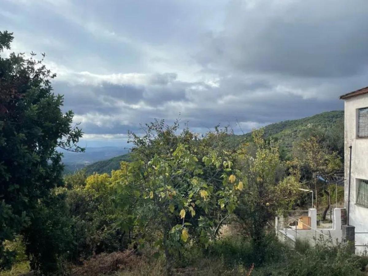 Plot Land in Gaucín