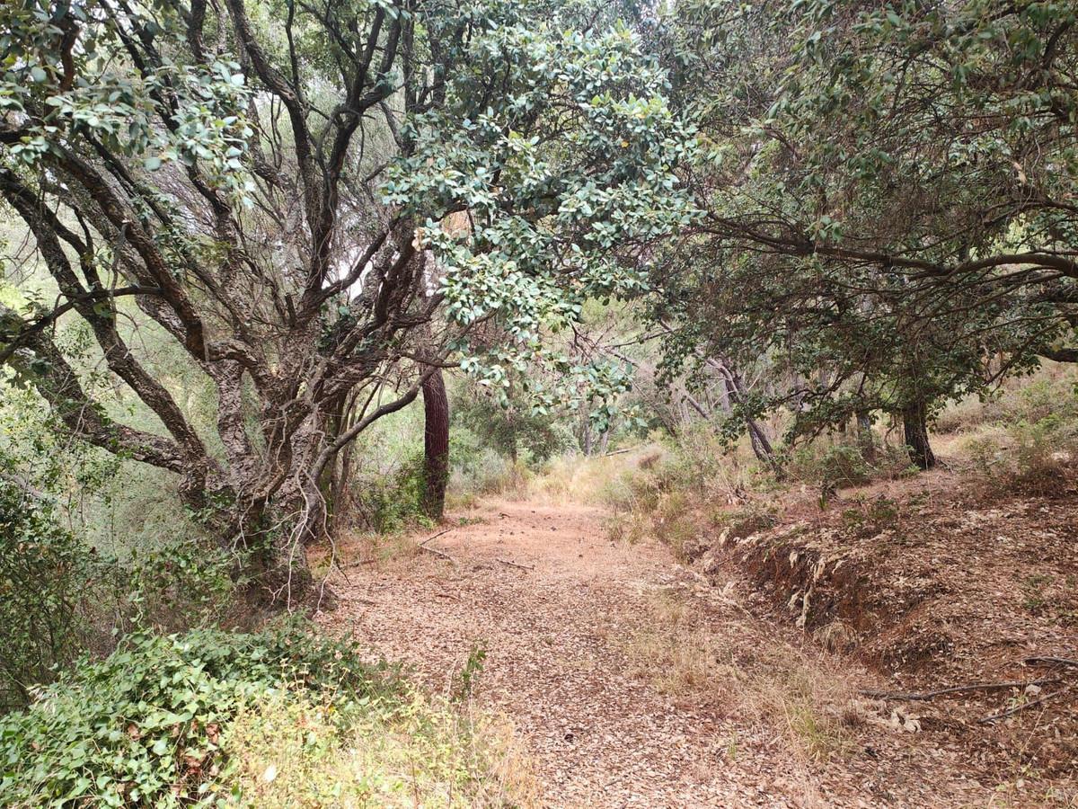 Plot Land in Ist&aacute;n