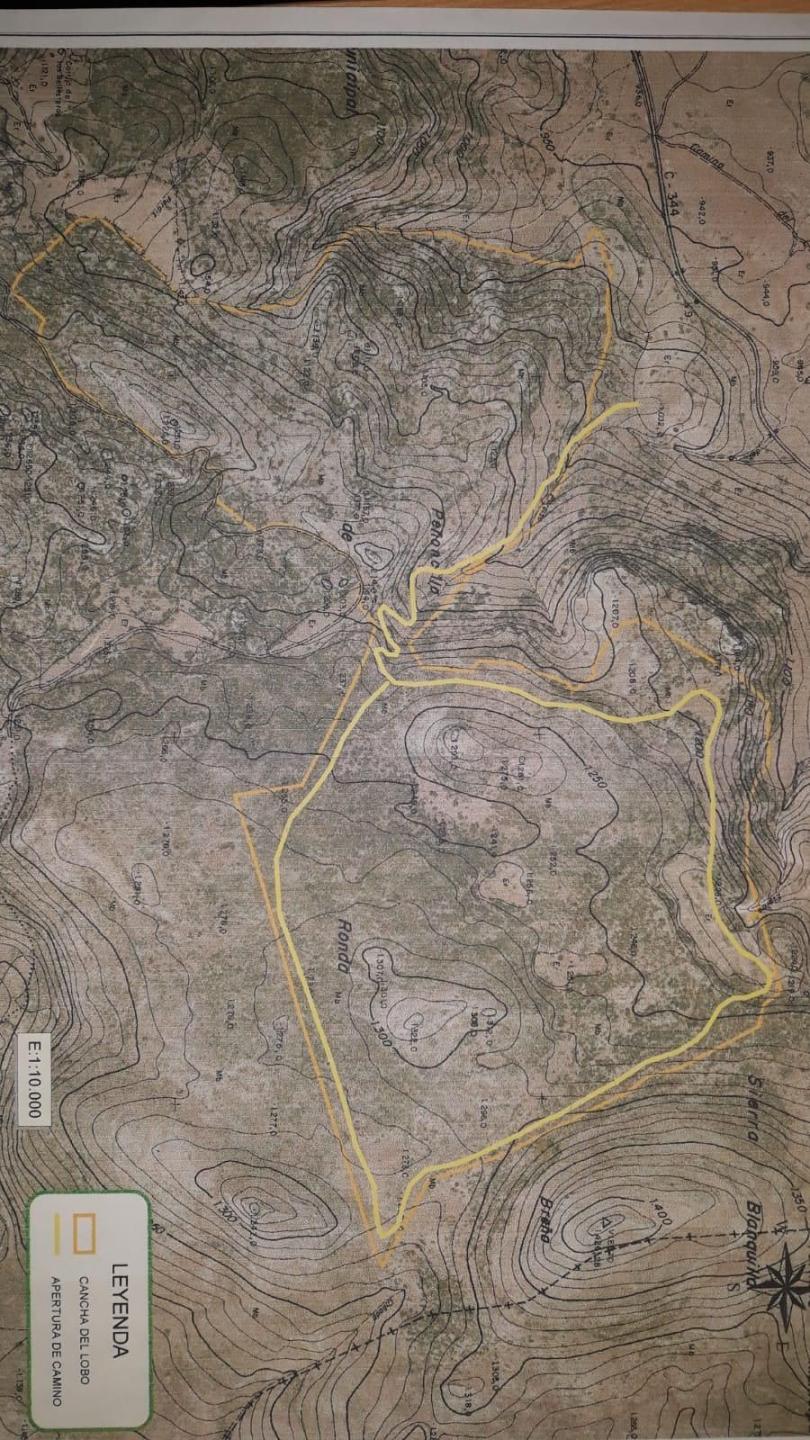 Plot Land in Sierra Blanquilla