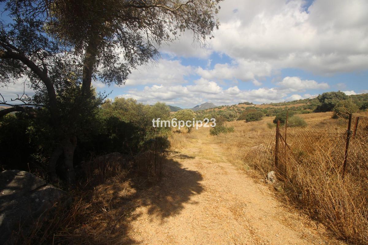 Plot Land in Casares
