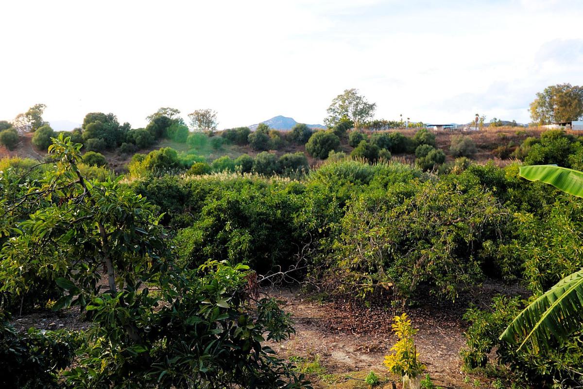 Plot Commercial in San Pedro de Alcántara