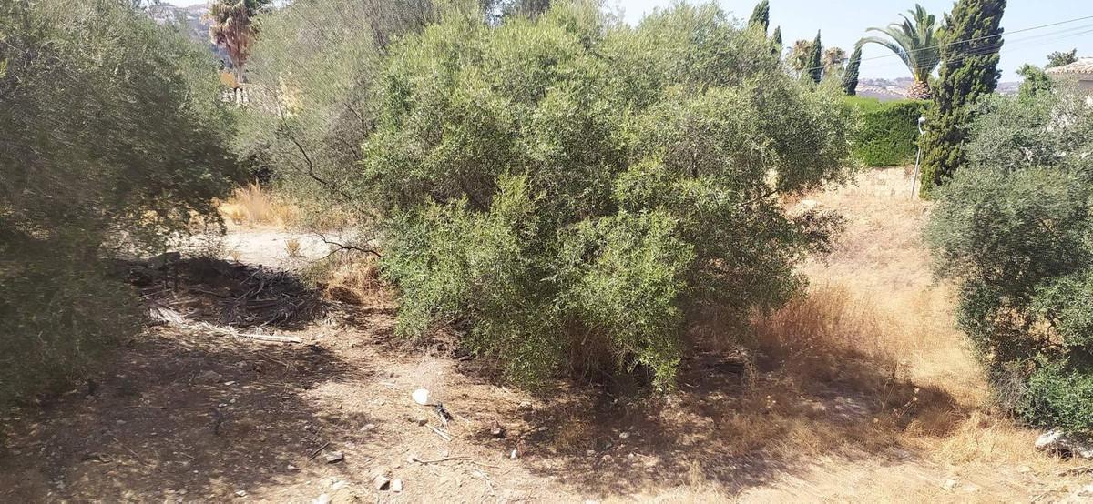 Plot Residential in Mijas Golf