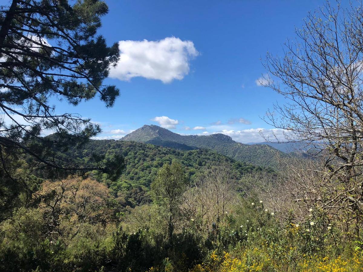 Plot Land in Gauc&iacute;n