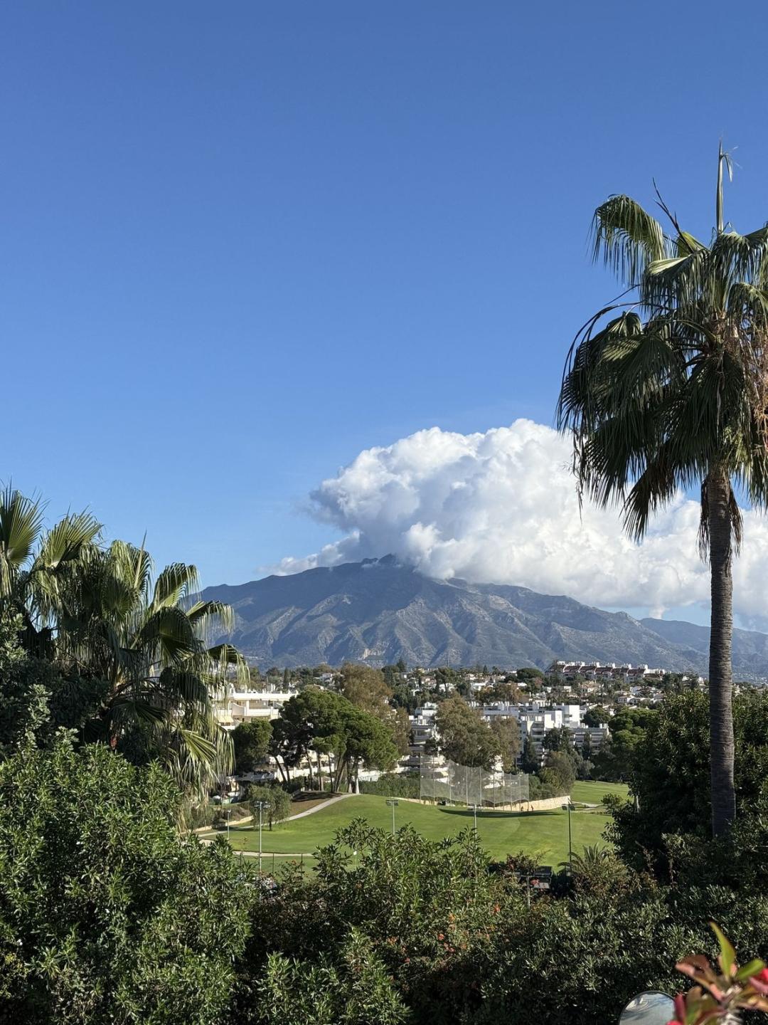 Villa Semi Detached in Guadalmina Alta