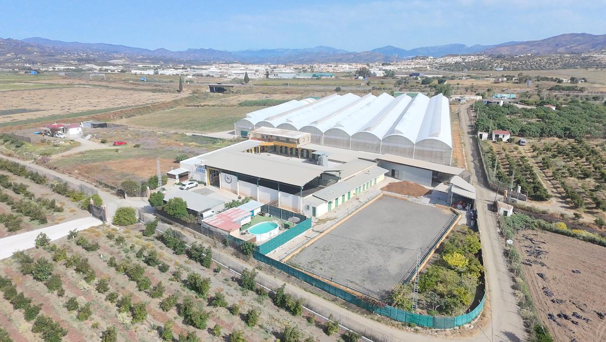 Villa Finca in El Tomillar