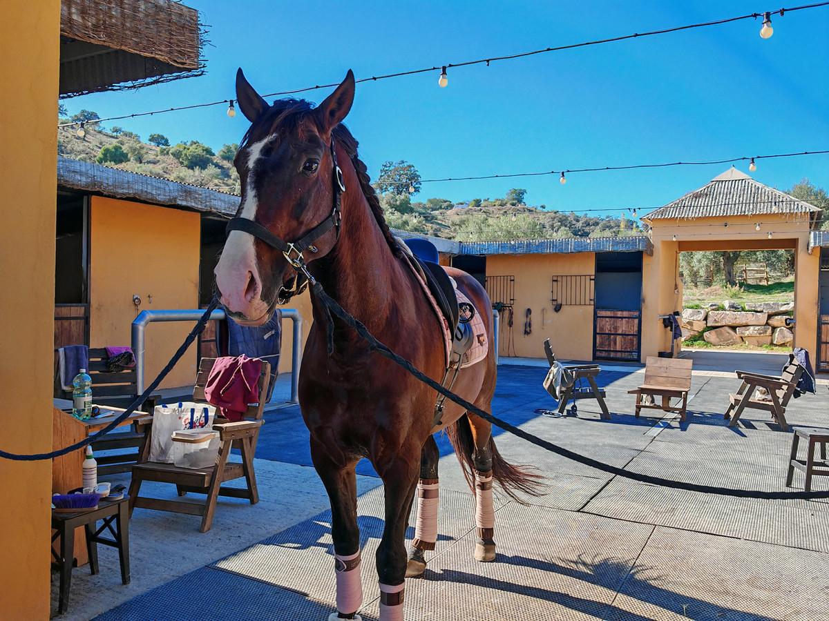 Villa Finca in Co&iacute;n
