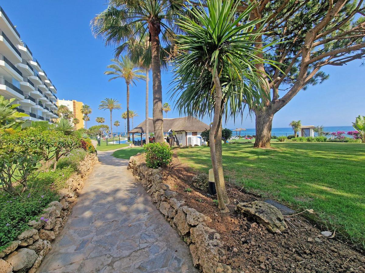 Apartment Ground Floor in Calahonda