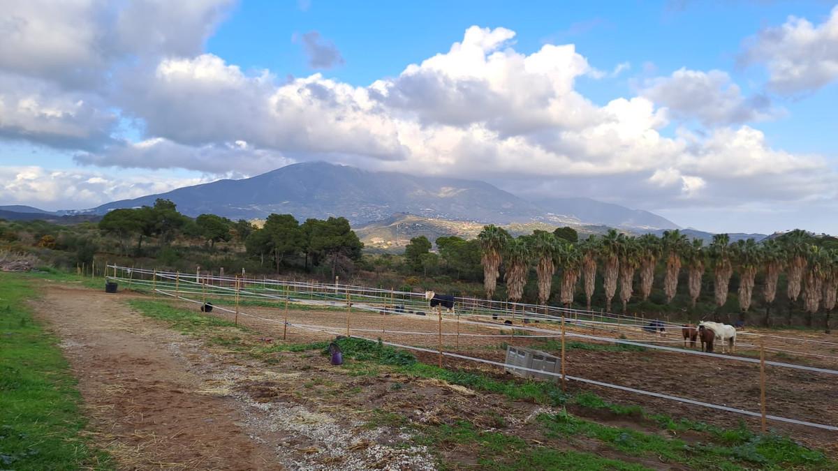 Commercial Other in Campo Mijas