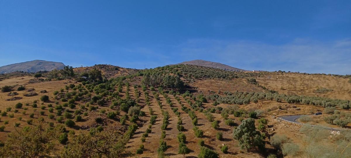 Villa Finca in M&aacute;laga
