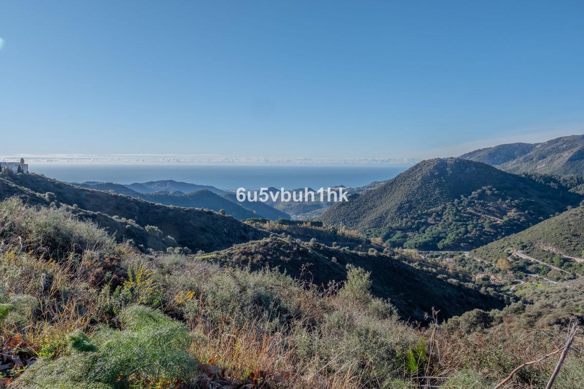 Plot Land in Oj&eacute;n