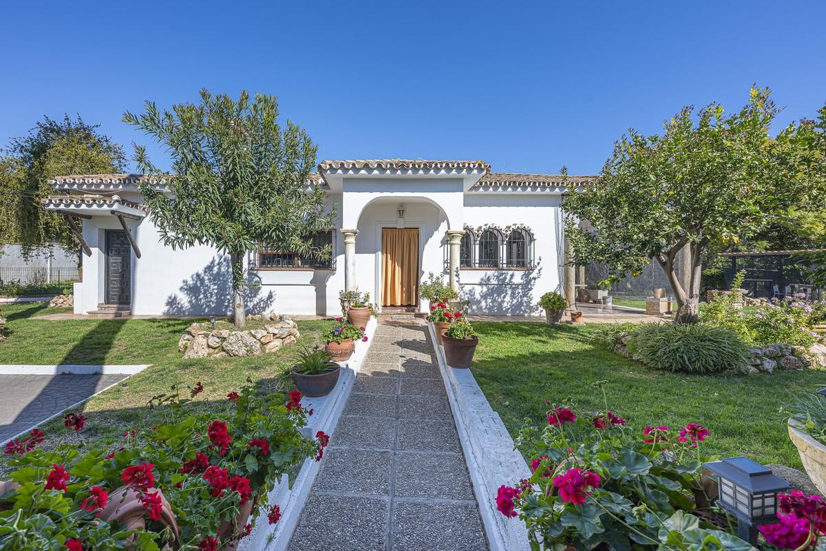 Villa Detached in Guadalmina Alta