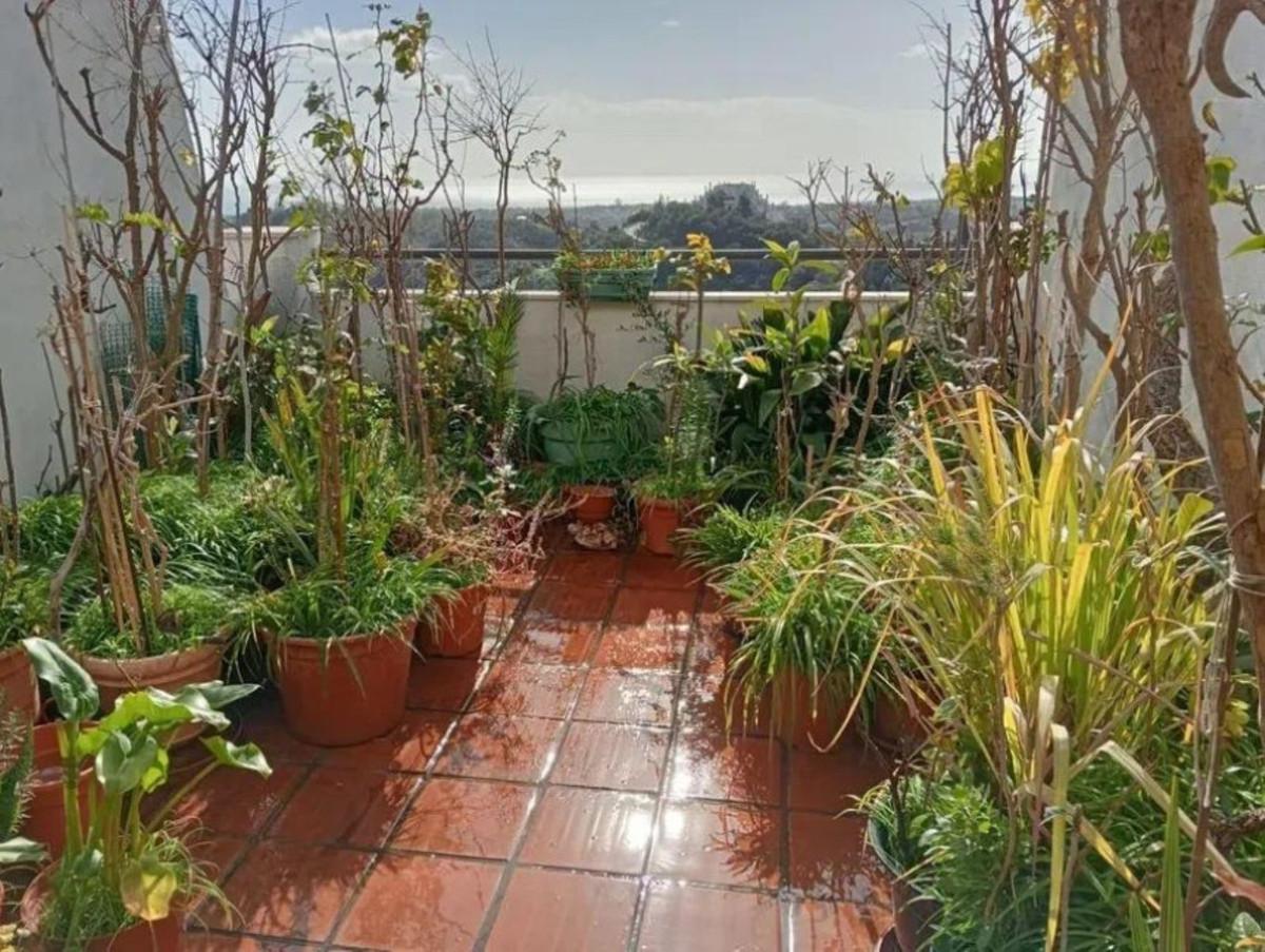 Apartment Middle Floor in Estepona