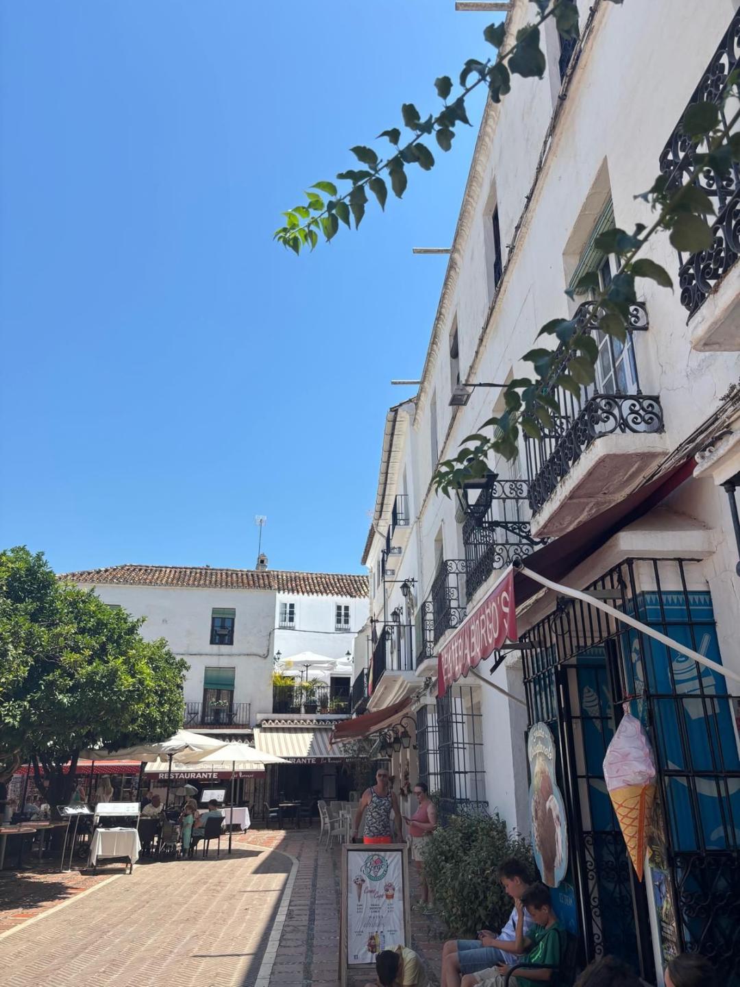 Commercial Restaurant in Marbella
