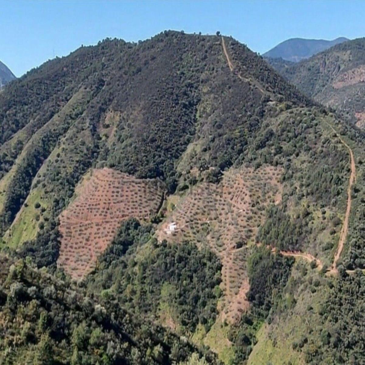 Plot Land in Monda