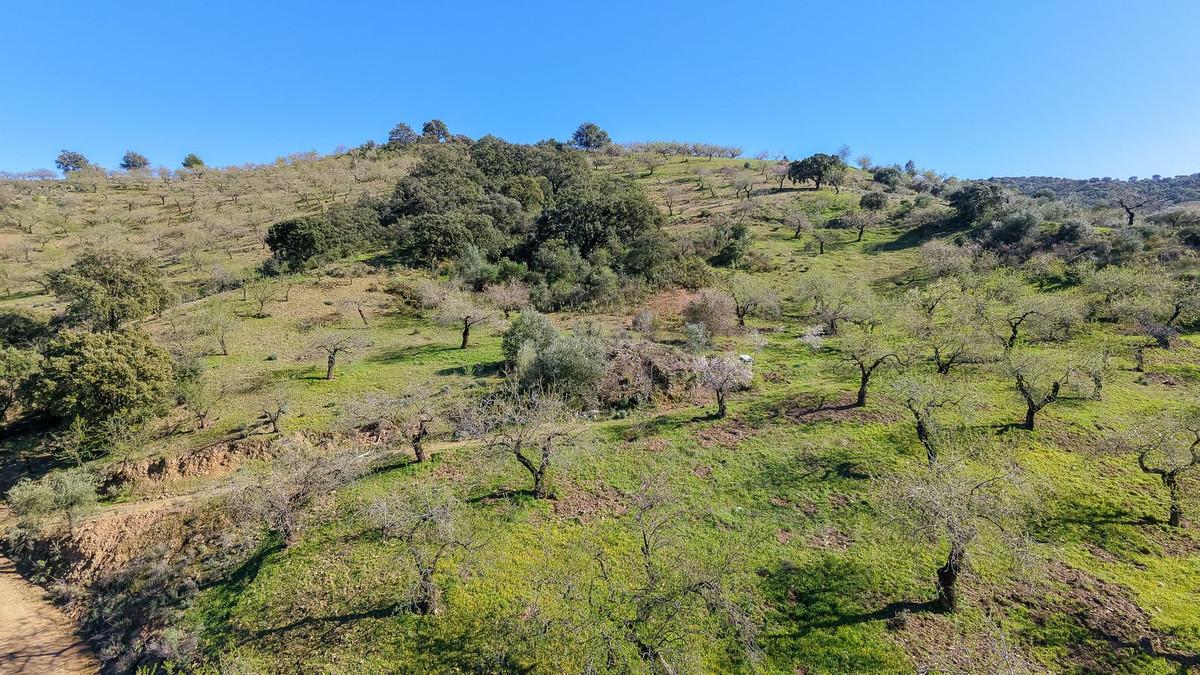 Plot Land in M&aacute;laga