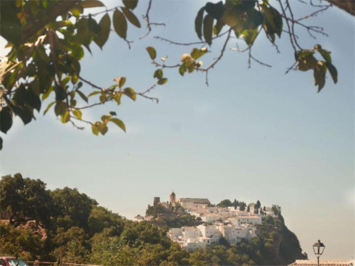 Villa Finca in Casares