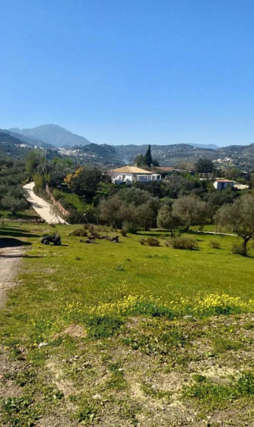 Plot Land in Monda