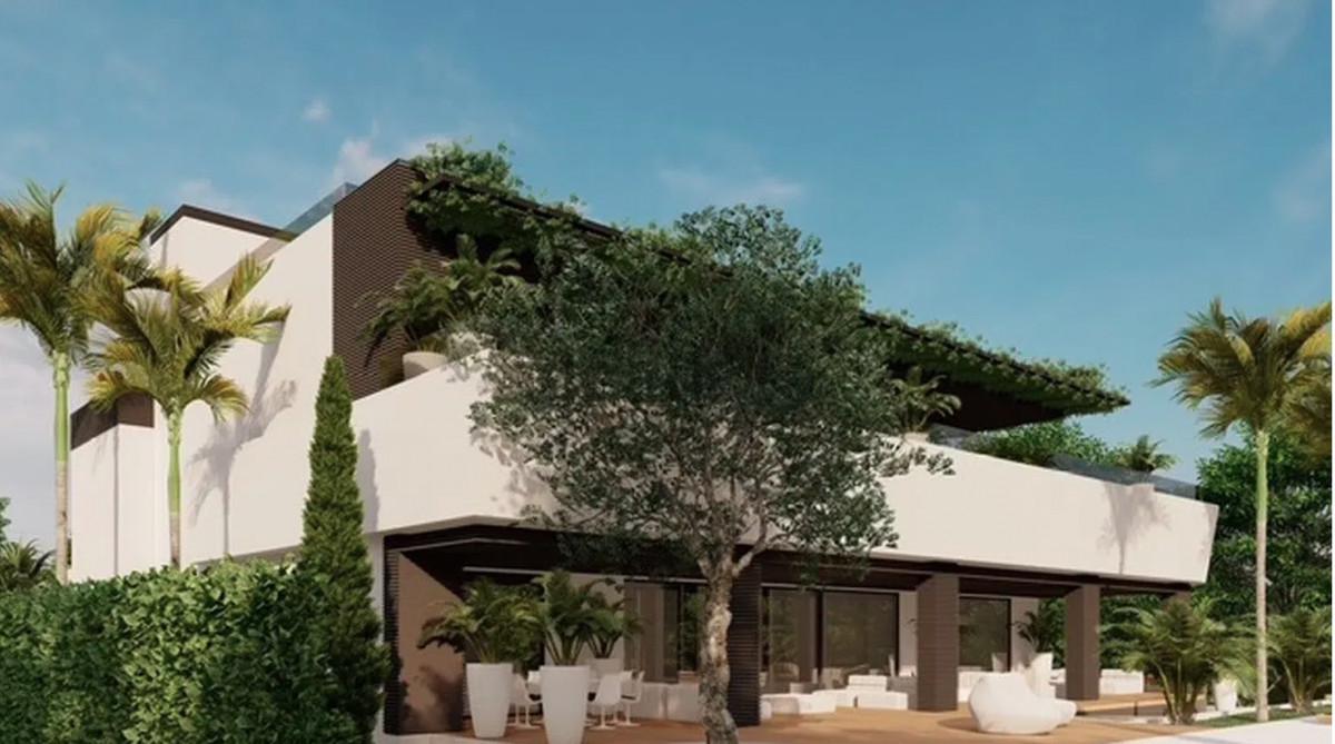 Plot Land in El Rosario