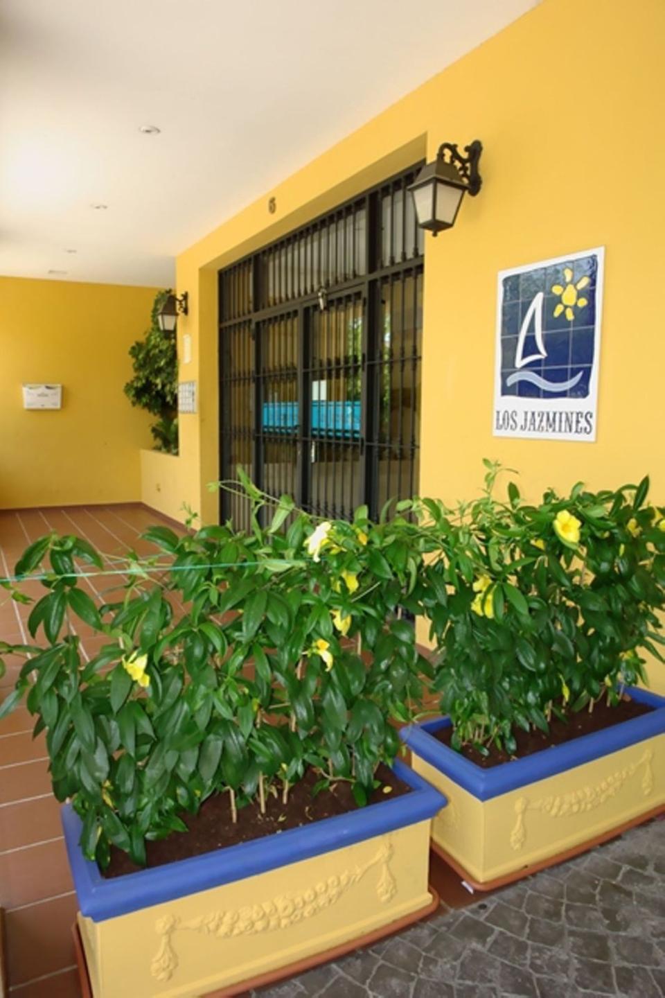 Apartment Ground Floor in San Pedro de Alc&aacute;ntara