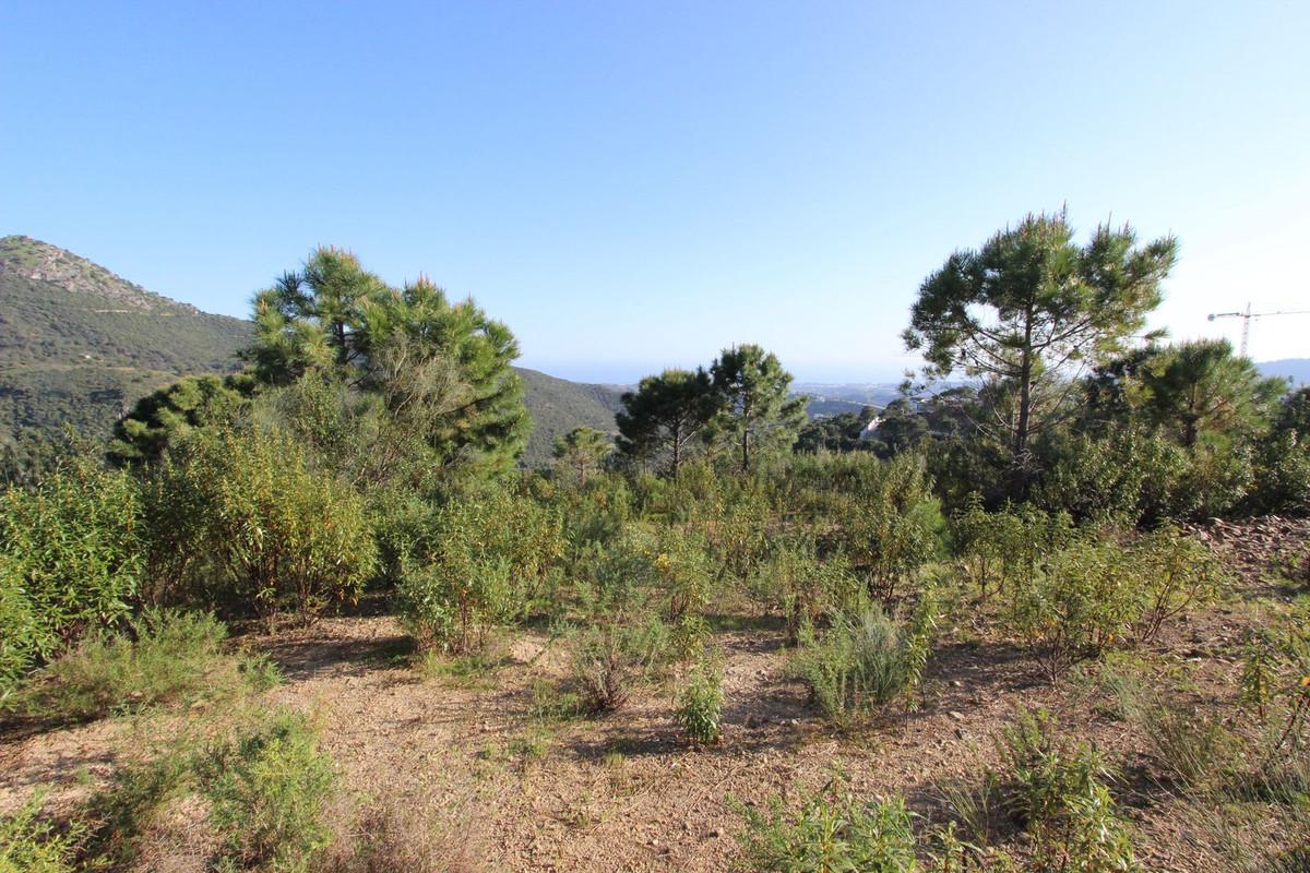 Plot Residential in Benahav&iacute;s