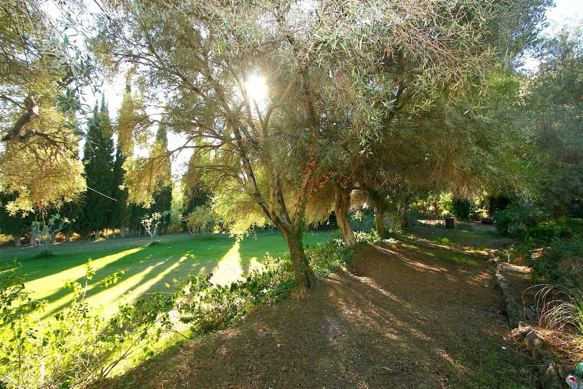 Plot Residential in Mijas