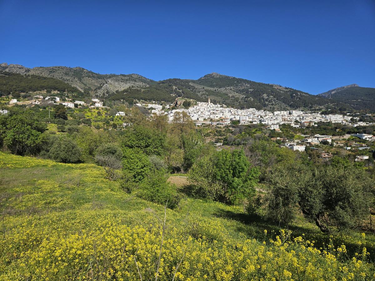Plot Land in Casarabonela