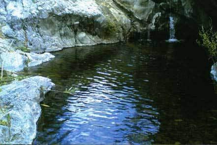 Villa Finca in Estepona