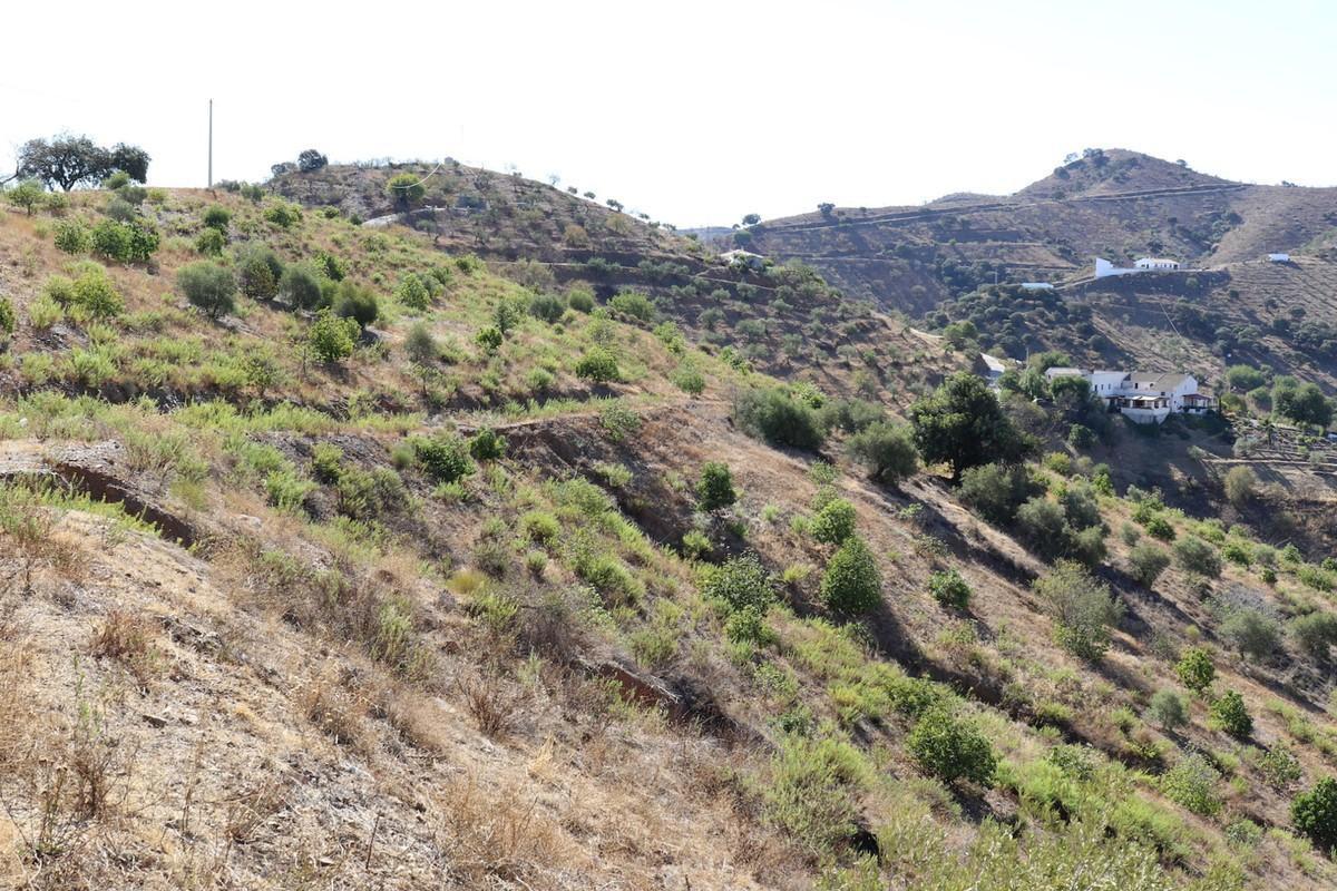 Plot Land in Alora