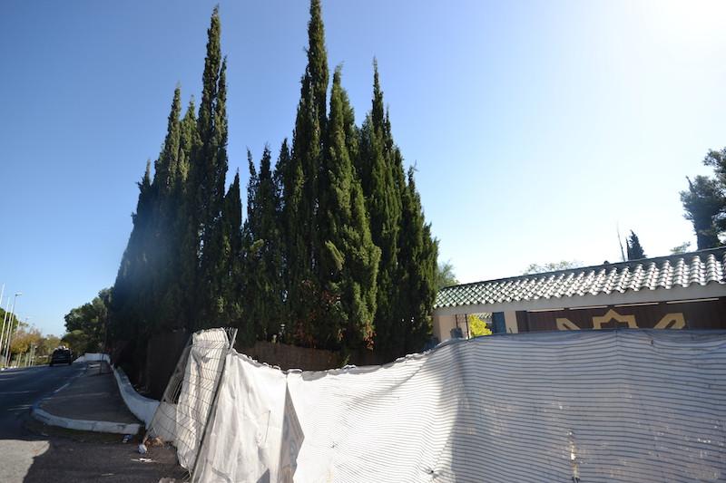 Plot Land in Sierra Blanca