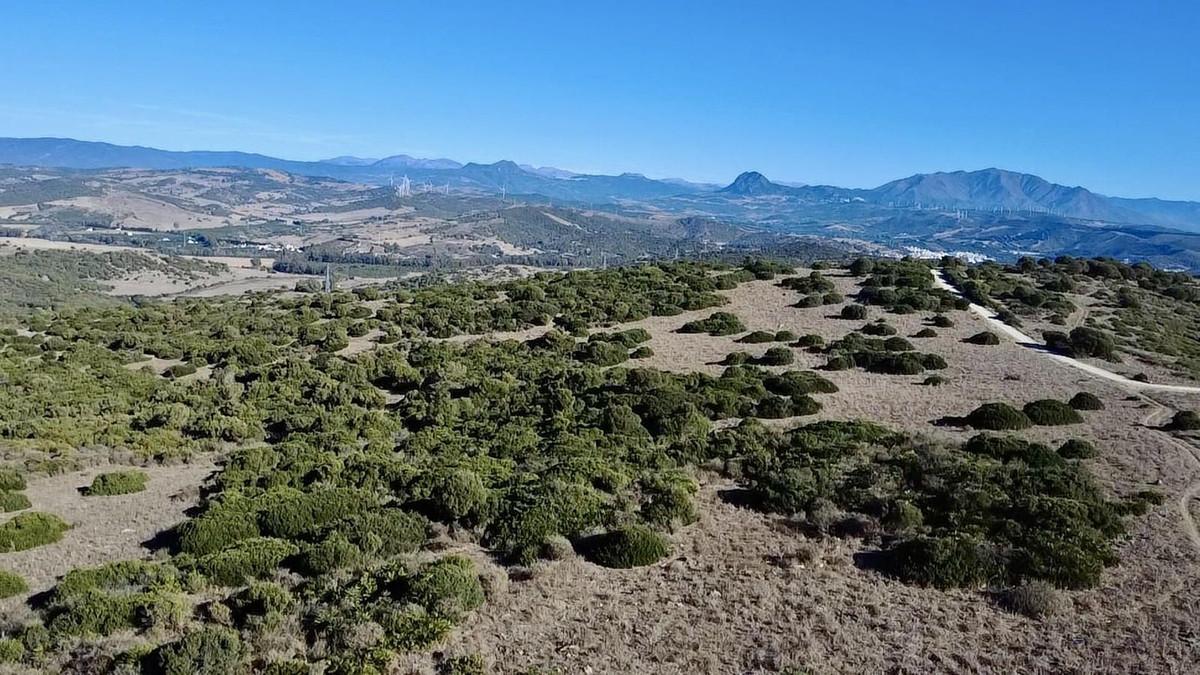 Plot Land in Sotogrande