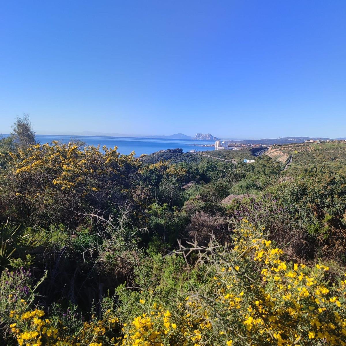 Plot Residential in San Diego