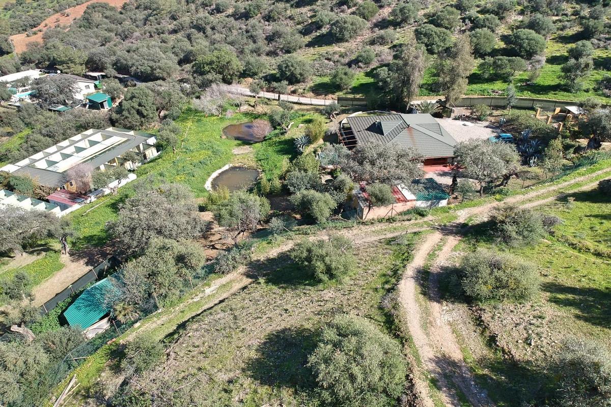 Commercial Farm in Co&iacute;n