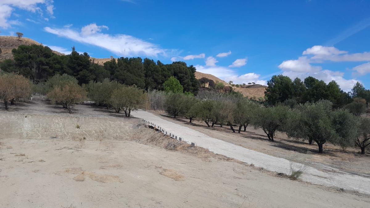 Plot Land in Casarabonela