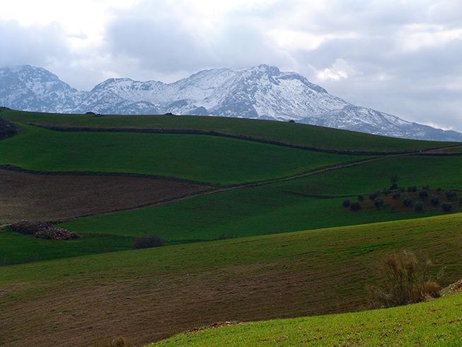 Plot Land in Ardales