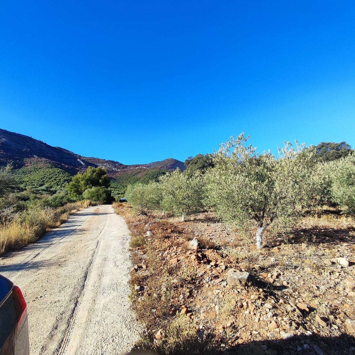 Plot Land in Alhaurín el Grande